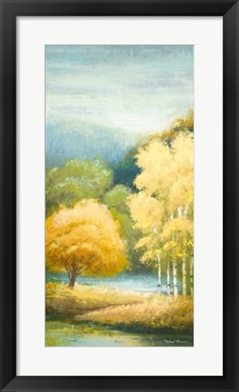 Framed Birchwood I Print