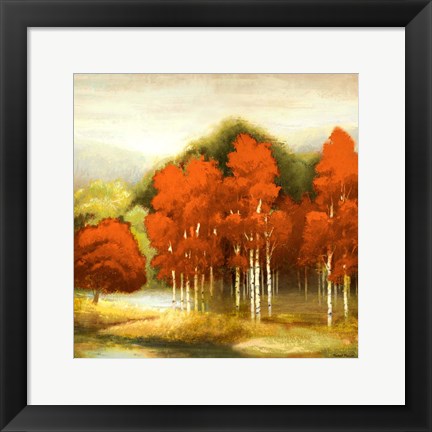 Framed Autumn Birchwood I Print