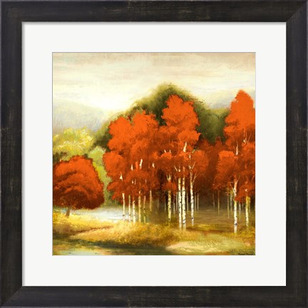 Framed Autumn Birchwood I Print