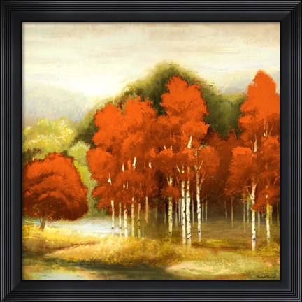 Framed Autumn Birchwood I Print