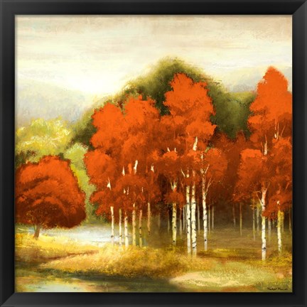 Framed Autumn Birchwood I Print