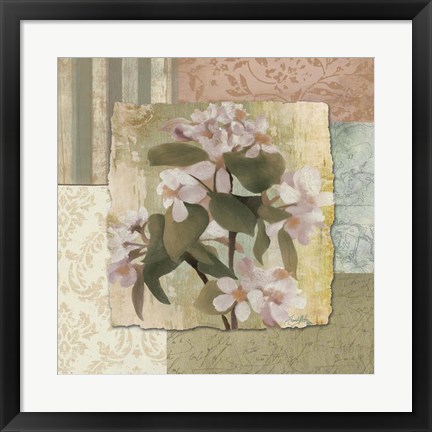 Framed Botanical Blossom Print