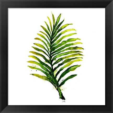 Framed Green Leaves Square II Print