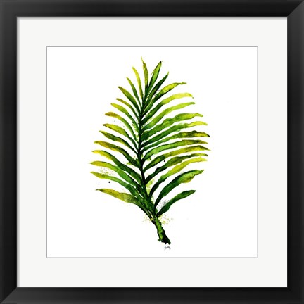 Framed Green Leaves Square II Print