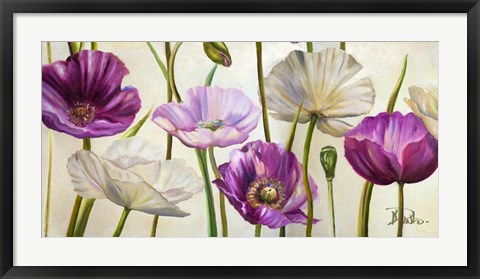 Framed Poppies in Spring I Print