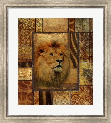 Framed Decorative Safari II (Lion) Print