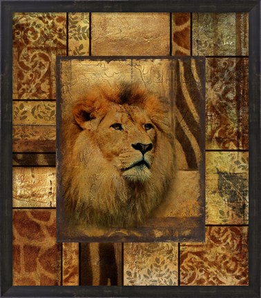 Framed Decorative Safari II (Lion) Print