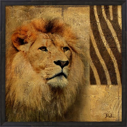 Framed Elegant Safari II (Lion) Print