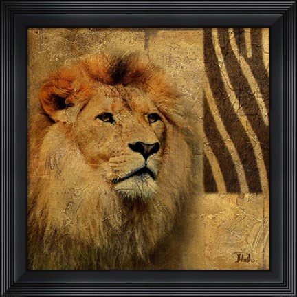 Framed Elegant Safari II (Lion) Print