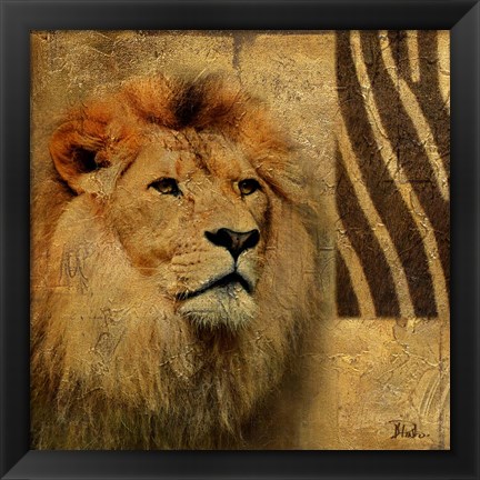 Framed Elegant Safari II (Lion) Print