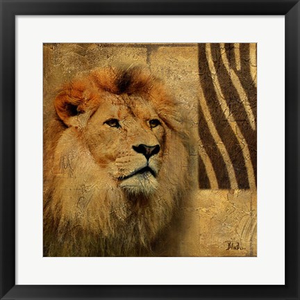 Framed Elegant Safari II (Lion) Print