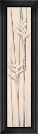 Framed White Heliconias II Print
