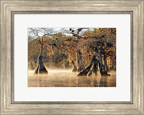 Framed Cypress Creek I Print