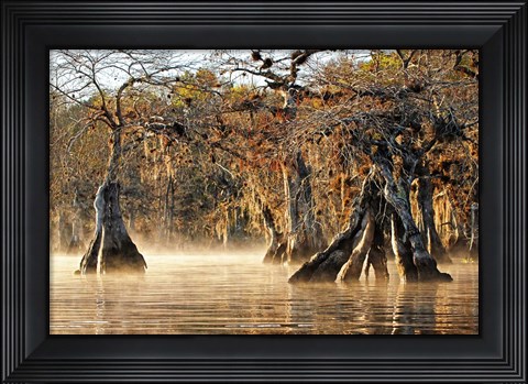Framed Cypress Creek I Print