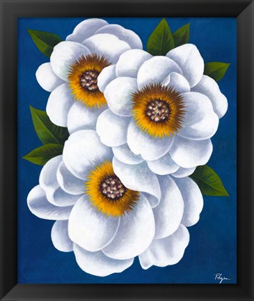 Framed White Flowers on Blue II Print