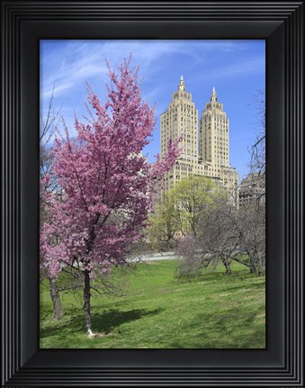 Framed Central Park Spring Colors Print