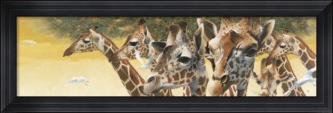 Framed Walk in the Sun Print