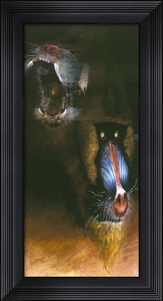 Framed Baboon Scream Print