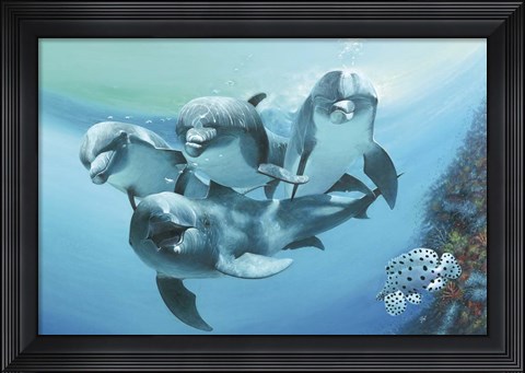 Framed Dolphins Print