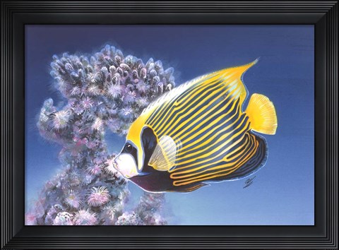 Framed Emperor Angel Print