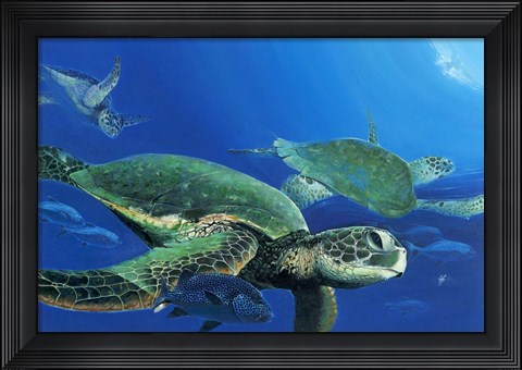 Framed Green Sea Turtles Print