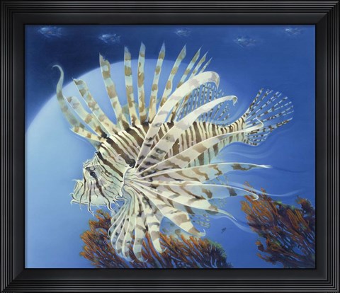 Framed Lion Fish Print