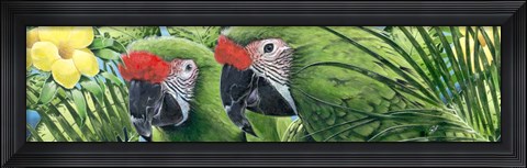 Framed Military Macaws Print
