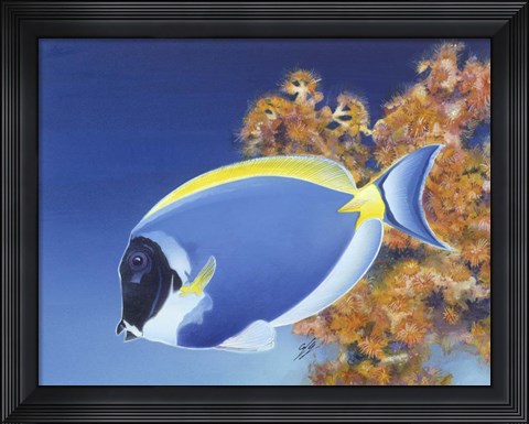 Framed Powder Blue Tang Print