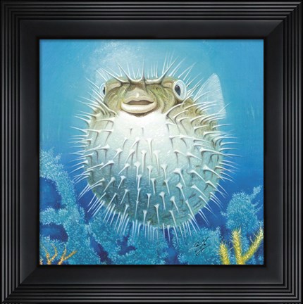 Framed Puffer Fish Print