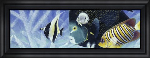 Framed Reef I Print