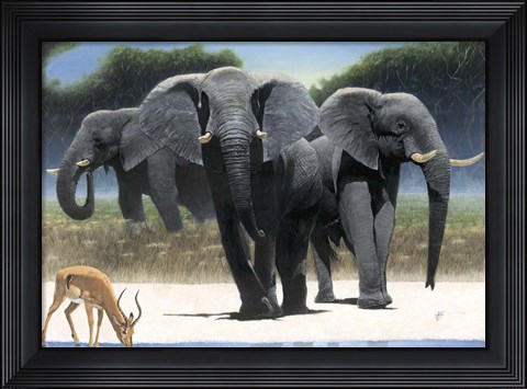 Framed Approach Print