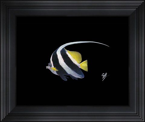 Framed Bannerfish Print