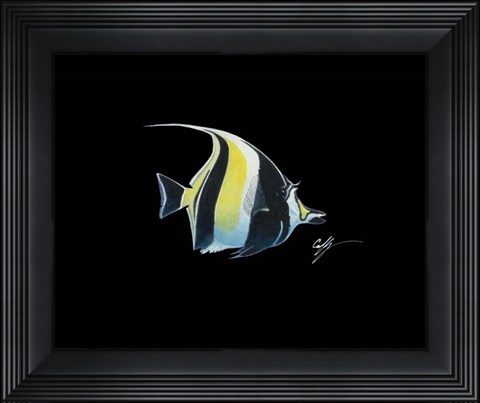 Framed Moorish Idol Print