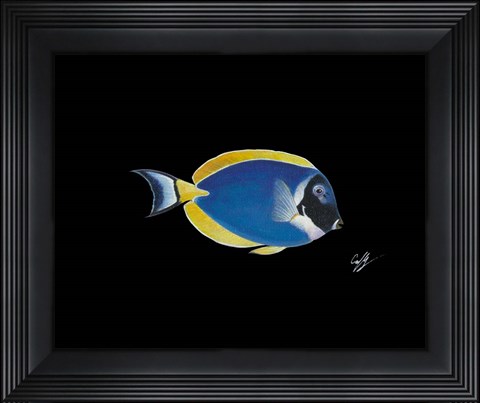 Framed Powder Blue Tang Print