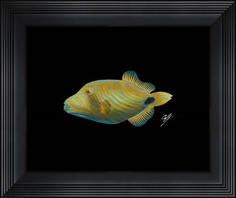 Framed Undulate Trigger Print