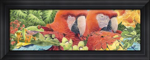 Framed Scarlet Macaws Print