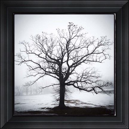 Framed Almost Spring Print