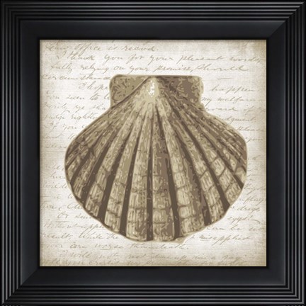 Framed Shell I Print