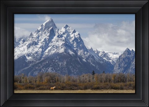 Framed Horse In Front Of The Grand Teton Print