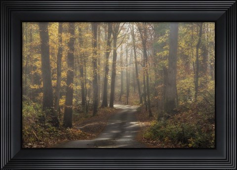 Framed Foggy Forest Print