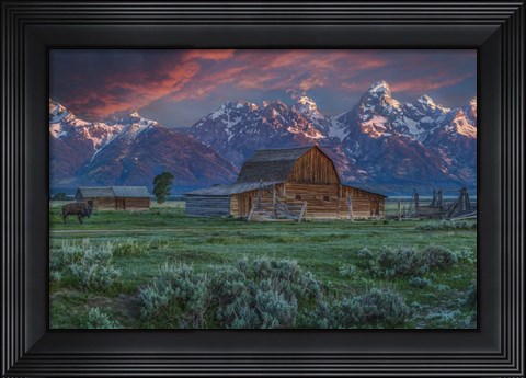 Framed Grand Teton Mormon Barn At Sunrise Print