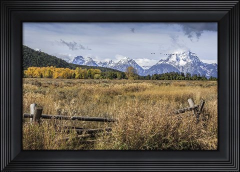 Framed GTNP Scene Mt. Moran Print