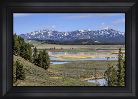 Framed Hayden Valley (YNP) Print