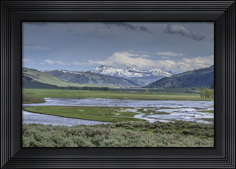 Framed Lamar Valley (YNP) Print