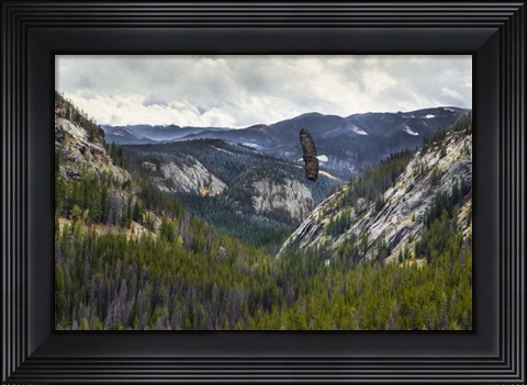 Framed Mountains With Eagle Print