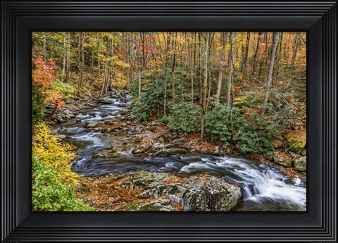 Framed Tremont Stream Print