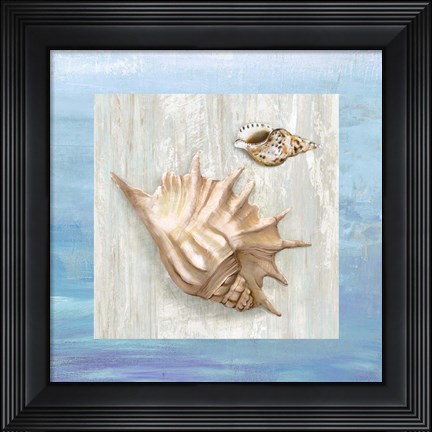 Framed From the Sea III Print