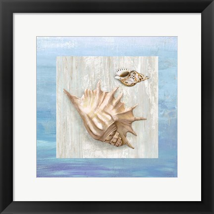 Framed From the Sea III Print