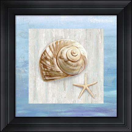 Framed From the Sea IV Print