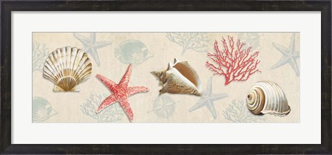 Framed Gifts from the Ocean Print
